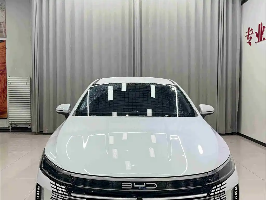 BYD Destroyer 05 — фото 2