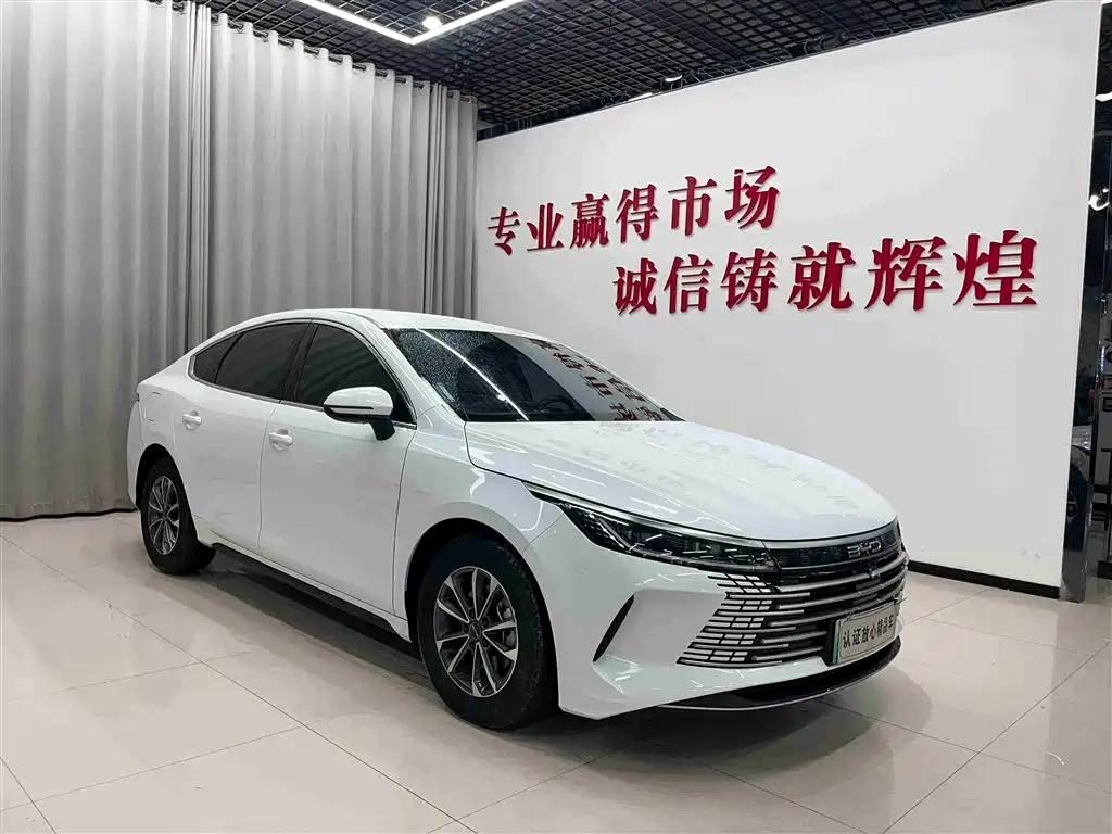 BYD Destroyer 05 — фото 3