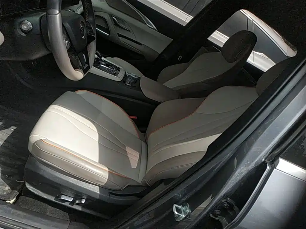 BYD Pro New Energy — фото 15