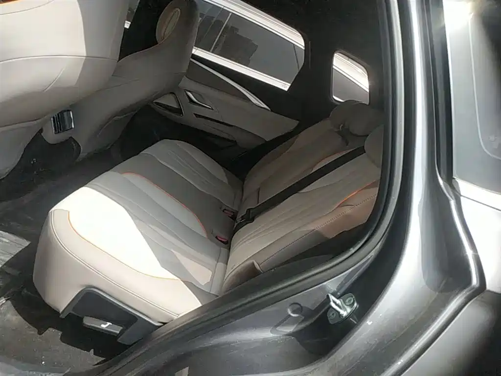 BYD Pro New Energy — фото 17