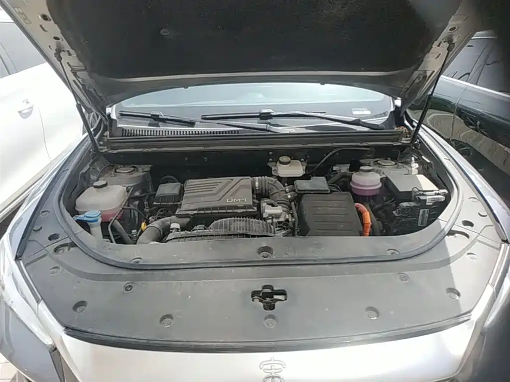 BYD Pro New Energy — фото 20