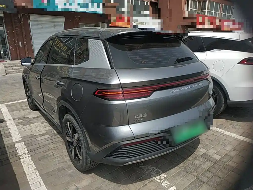 BYD Pro New Energy — фото 5