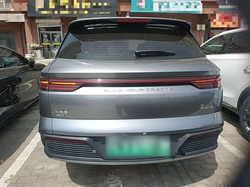 BYD Pro New Energy — фото 6