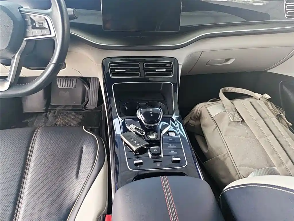 BYD Qin PLUS — фото 14