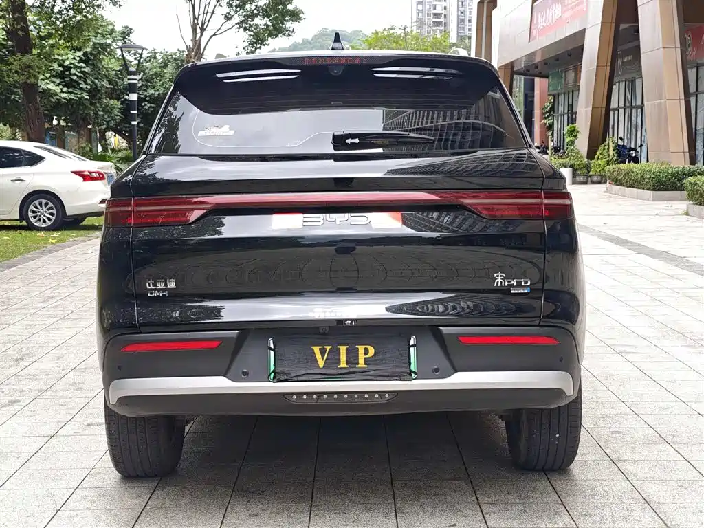 BYD Pro New Energy — фото 15