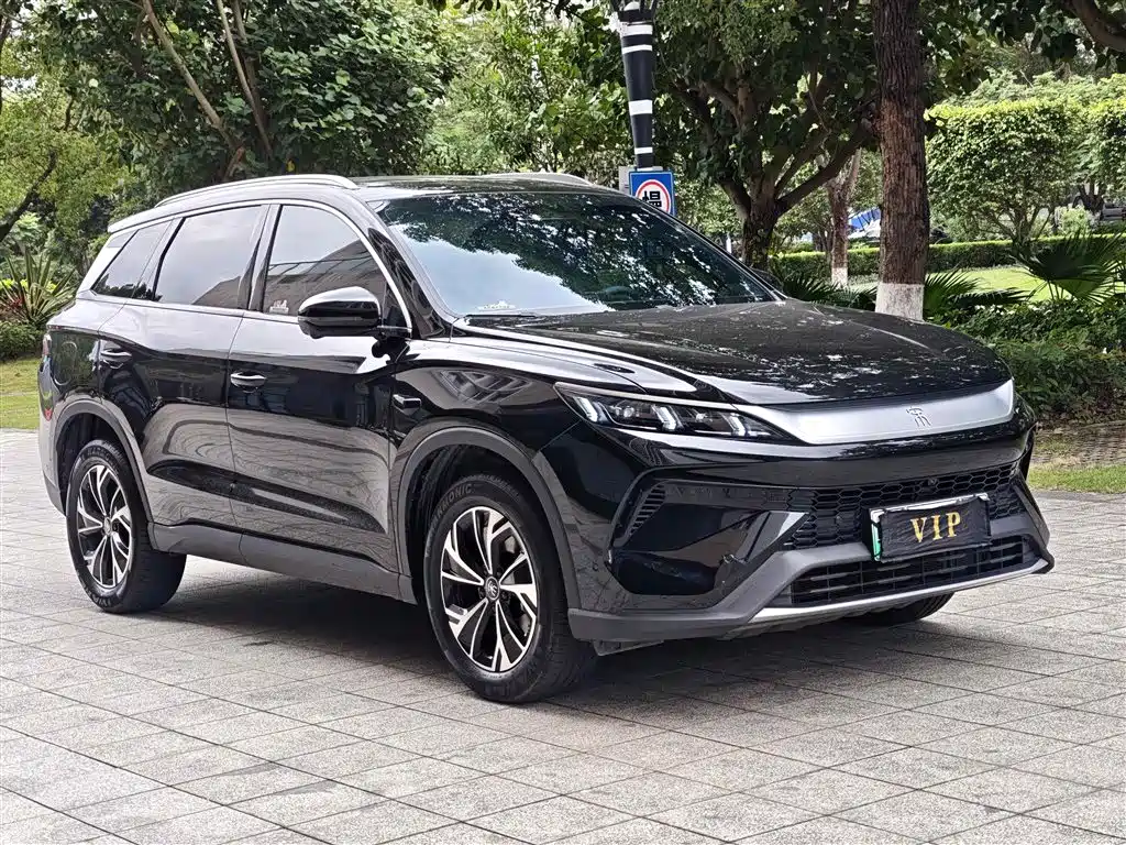 BYD Pro New Energy — фото 3