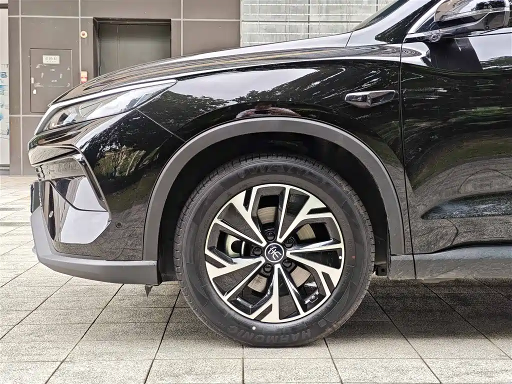 BYD Pro New Energy — фото 5