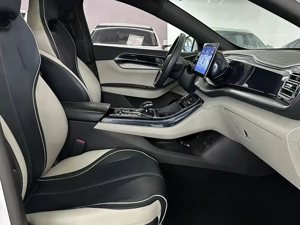 BYD Qin PLUS — фото 19