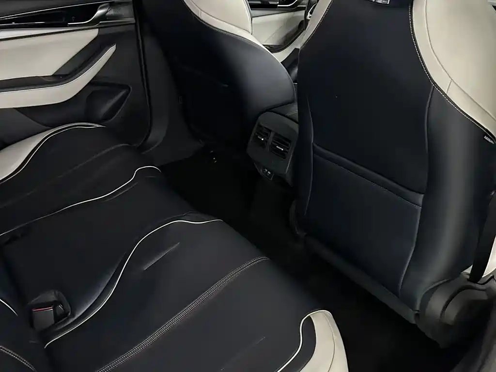 BYD Qin PLUS — фото 20
