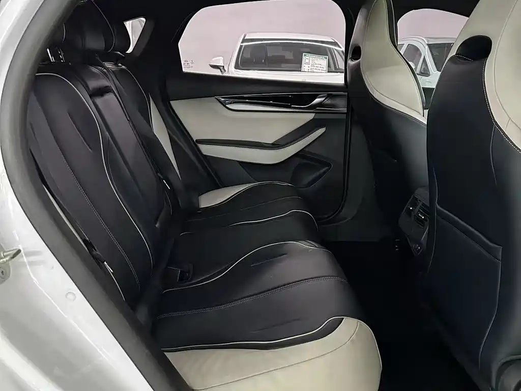 BYD Qin PLUS — фото 21