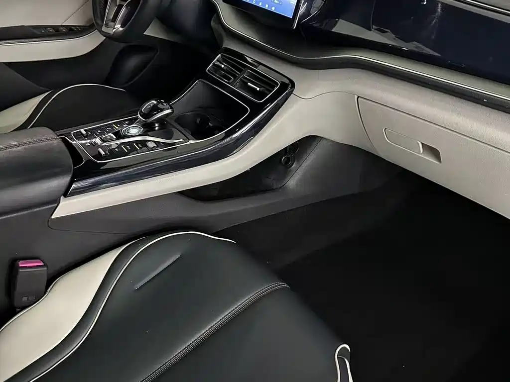 BYD Qin PLUS — фото 22