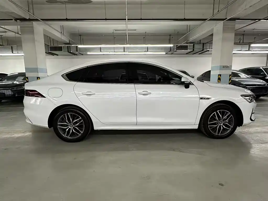 BYD Qin PLUS — фото 4