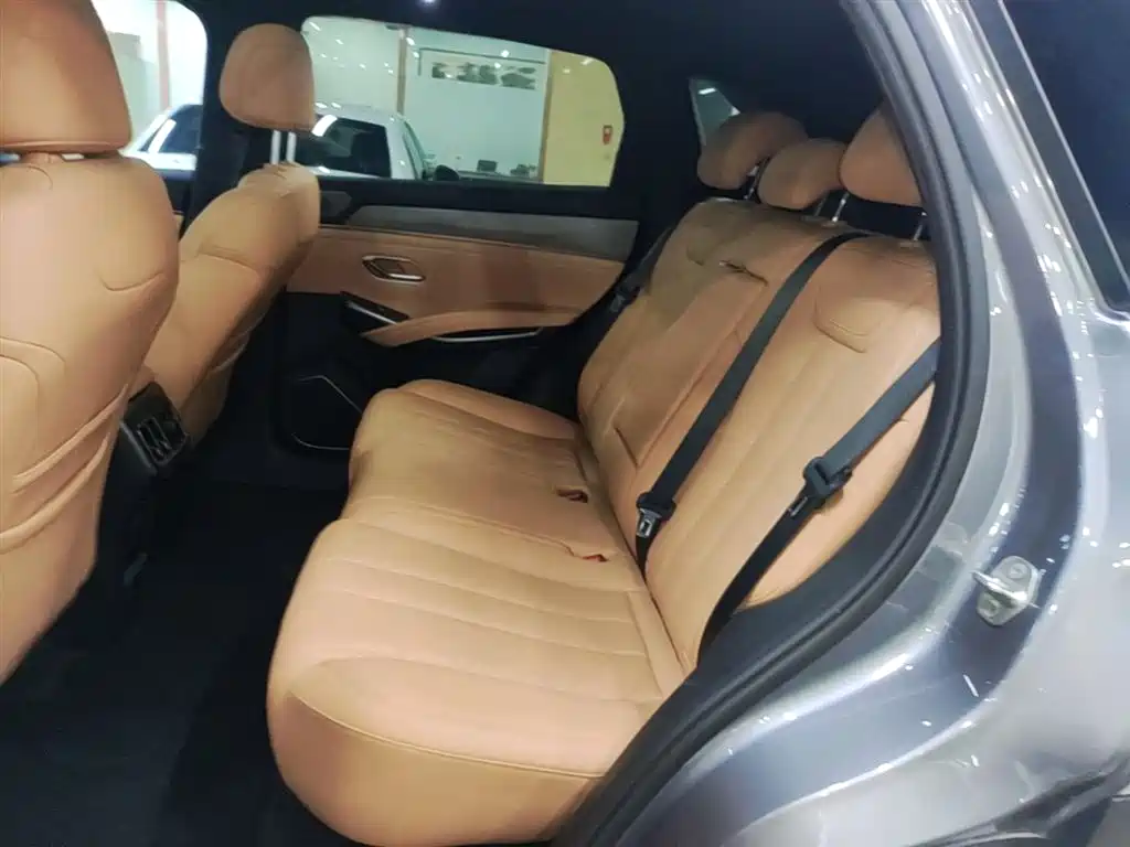 BYD L DM-i — фото 17