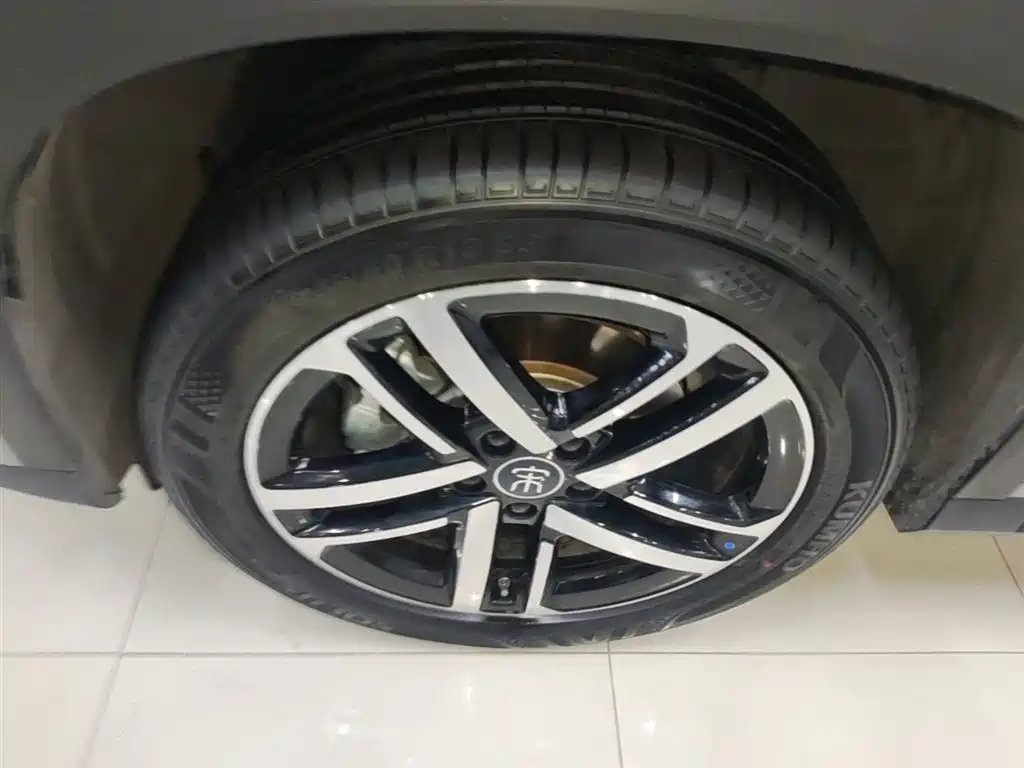 BYD L DM-i — фото 23