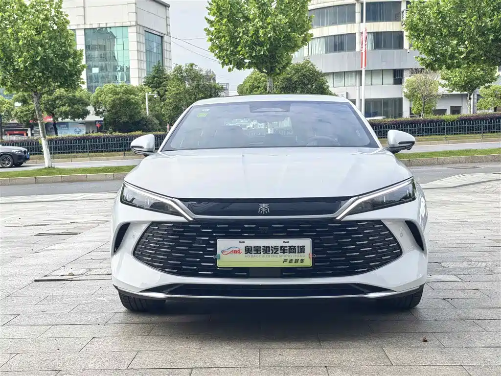 BYD Qin L — фото 2