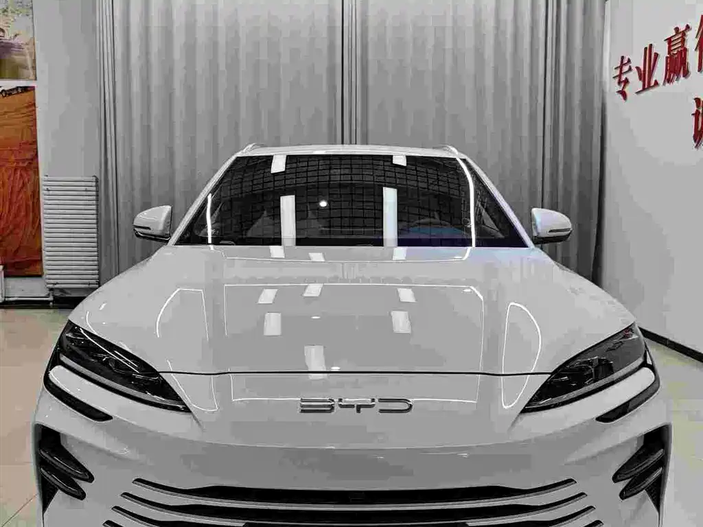 BYD PLUS New Energy — фото 2
