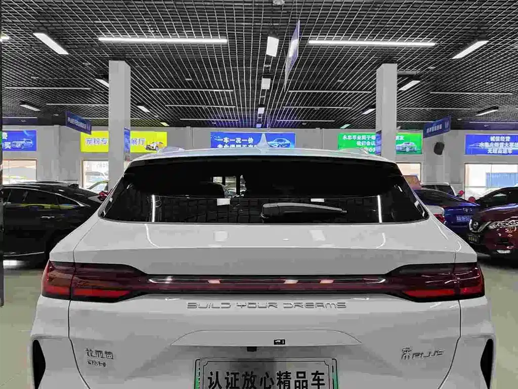 BYD PLUS New Energy — фото 5