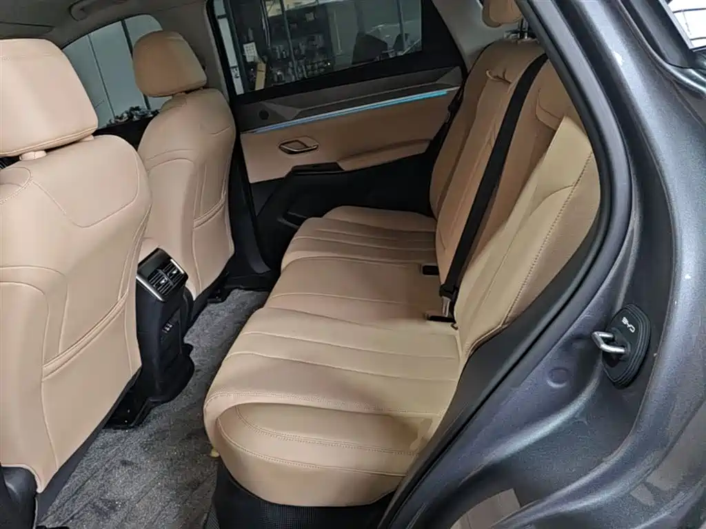 BYD Pro New Energy — фото 17