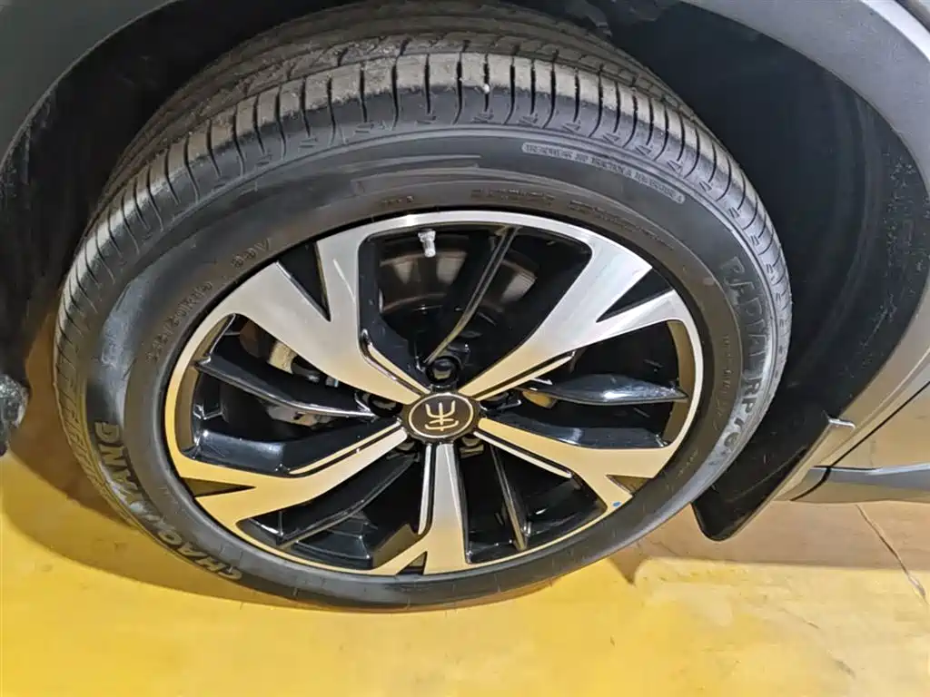BYD Pro New Energy — фото 23