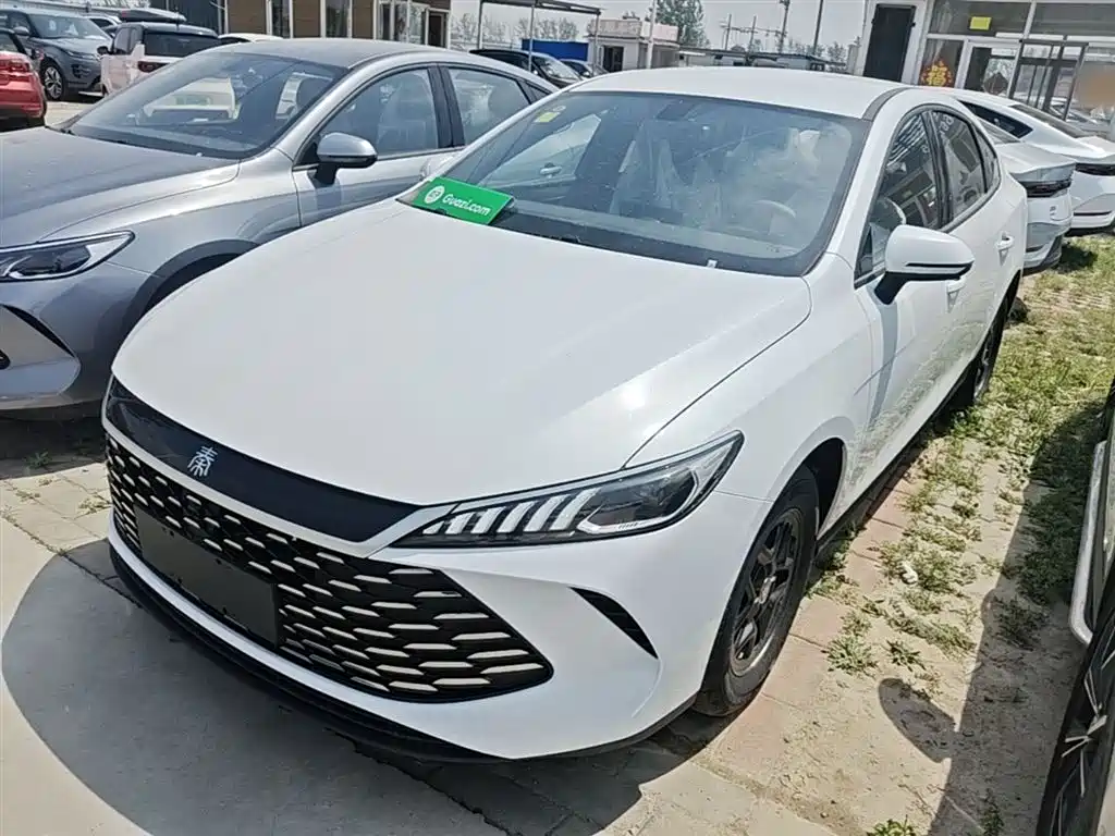 BYD Qin PLUS — фото 2
