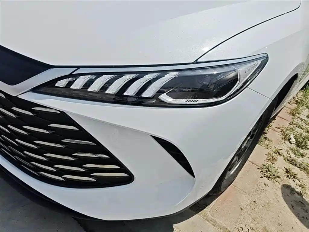 BYD Qin PLUS — фото 24
