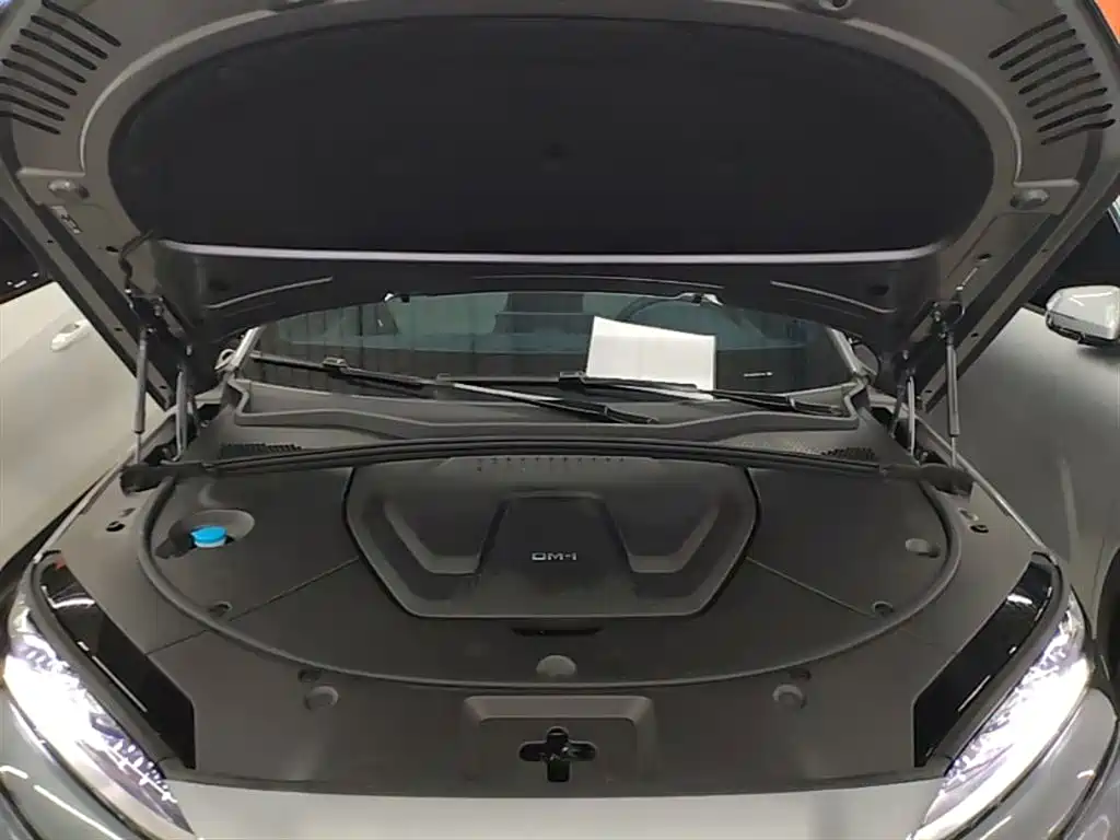 BYD PLUS New Energy — фото 20