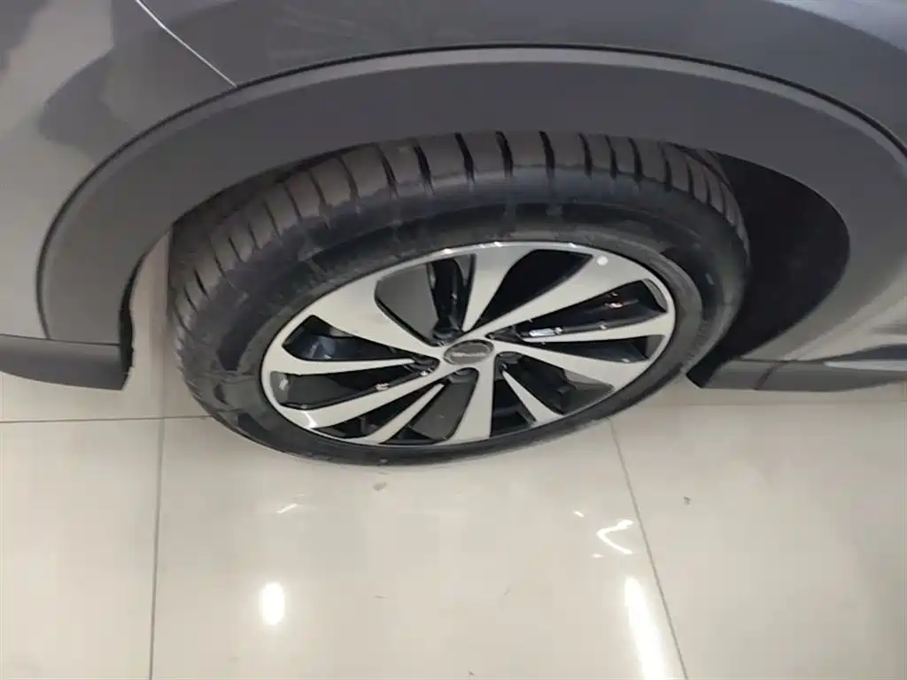 BYD PLUS New Energy — фото 23