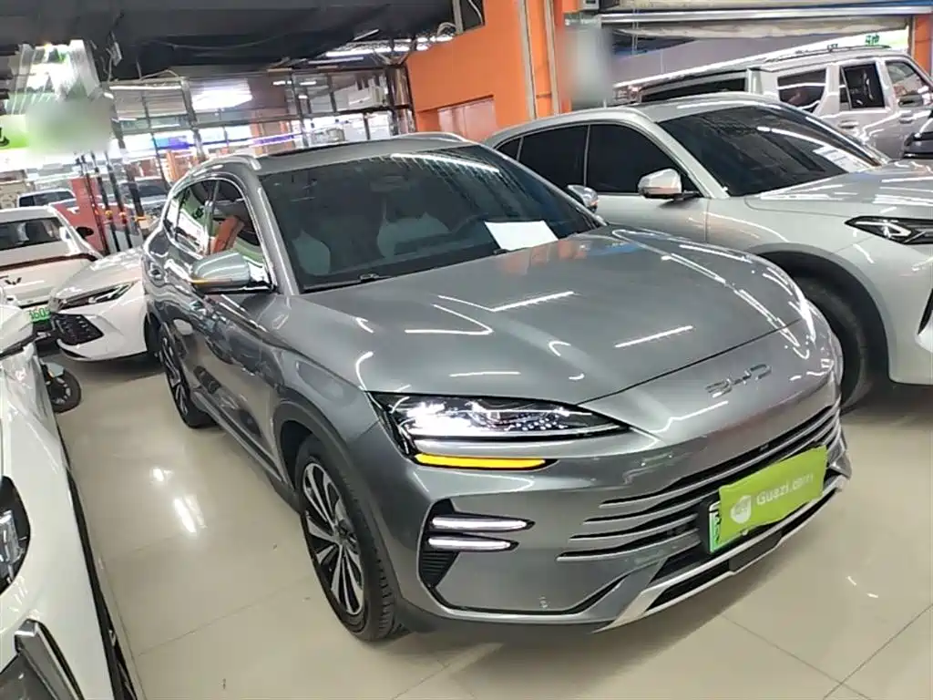 BYD PLUS New Energy — фото 4