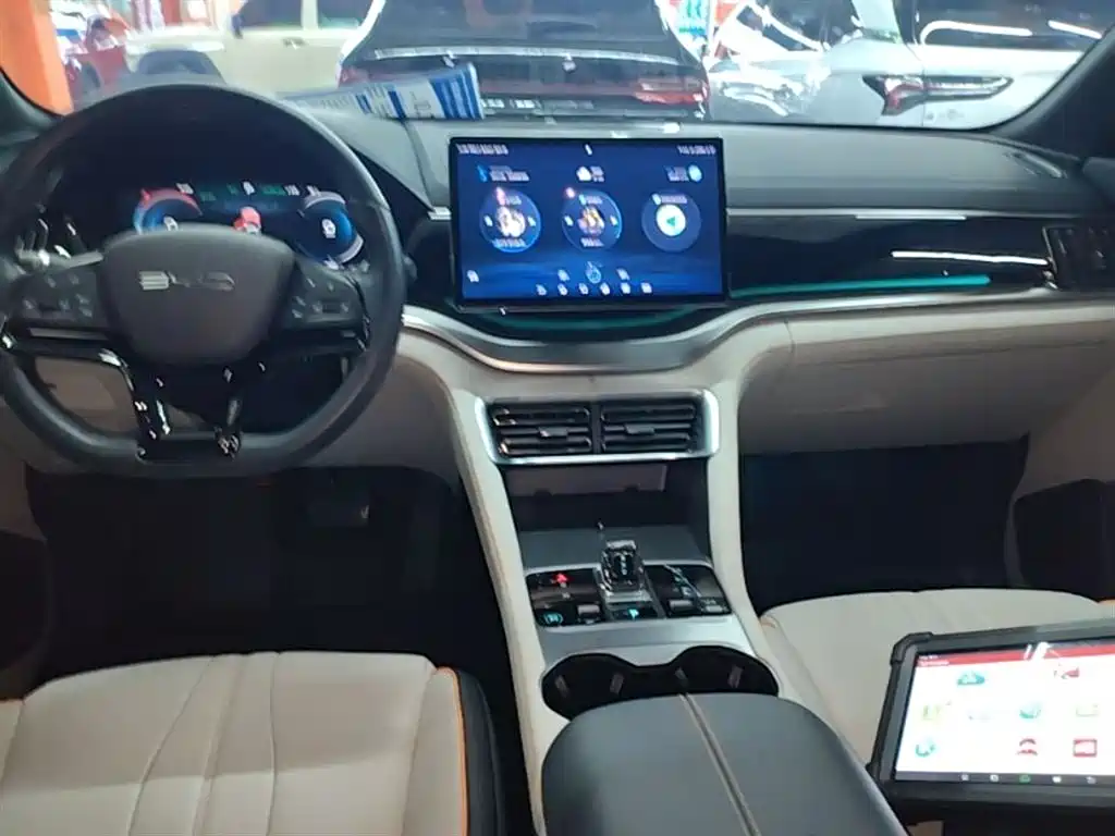 BYD PLUS New Energy — фото 10