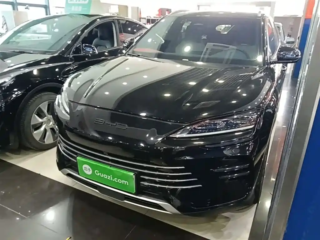 BYD PLUS New Energy — фото 2