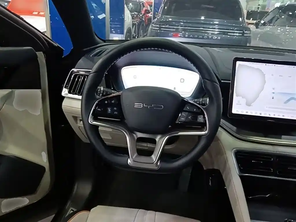 BYD PLUS New Energy — фото 11