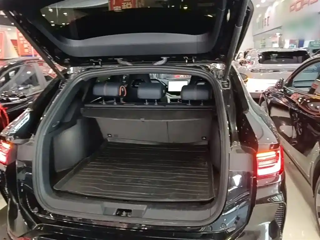 BYD PLUS New Energy — фото 19