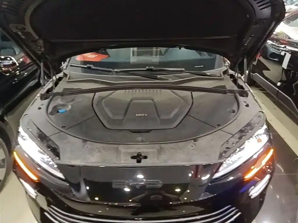 BYD PLUS New Energy — фото 20