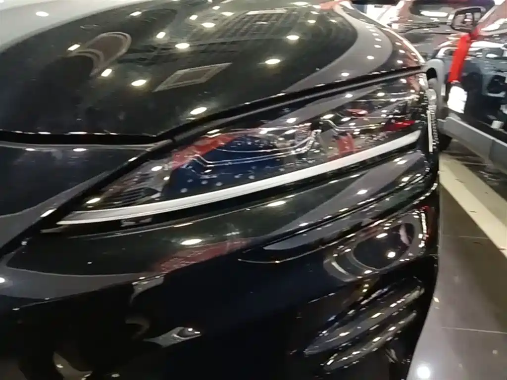 BYD PLUS New Energy — фото 24