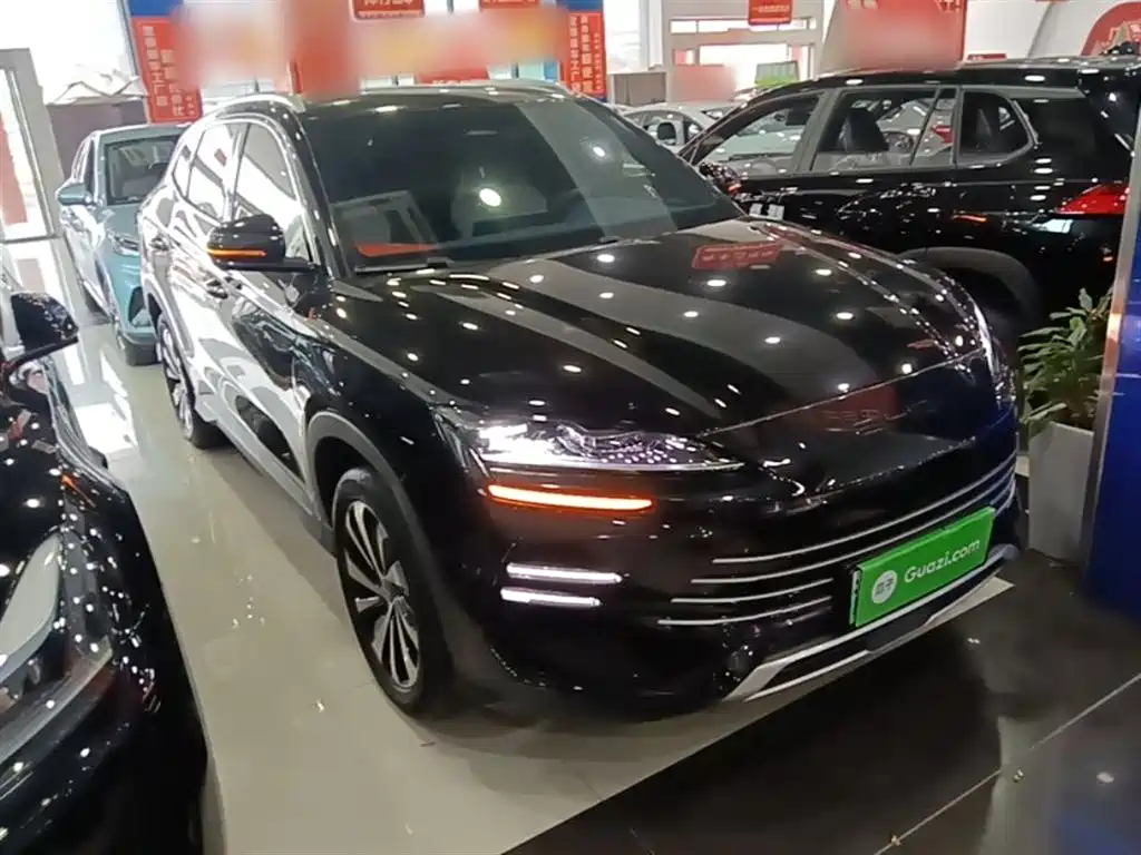 BYD PLUS New Energy — фото 4