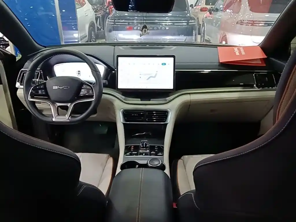 BYD PLUS New Energy — фото 10