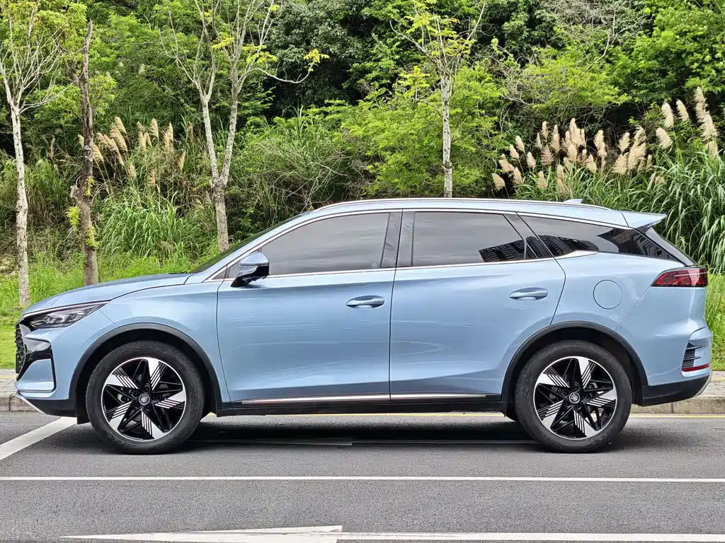 BYD Tang New Energy — фото 4