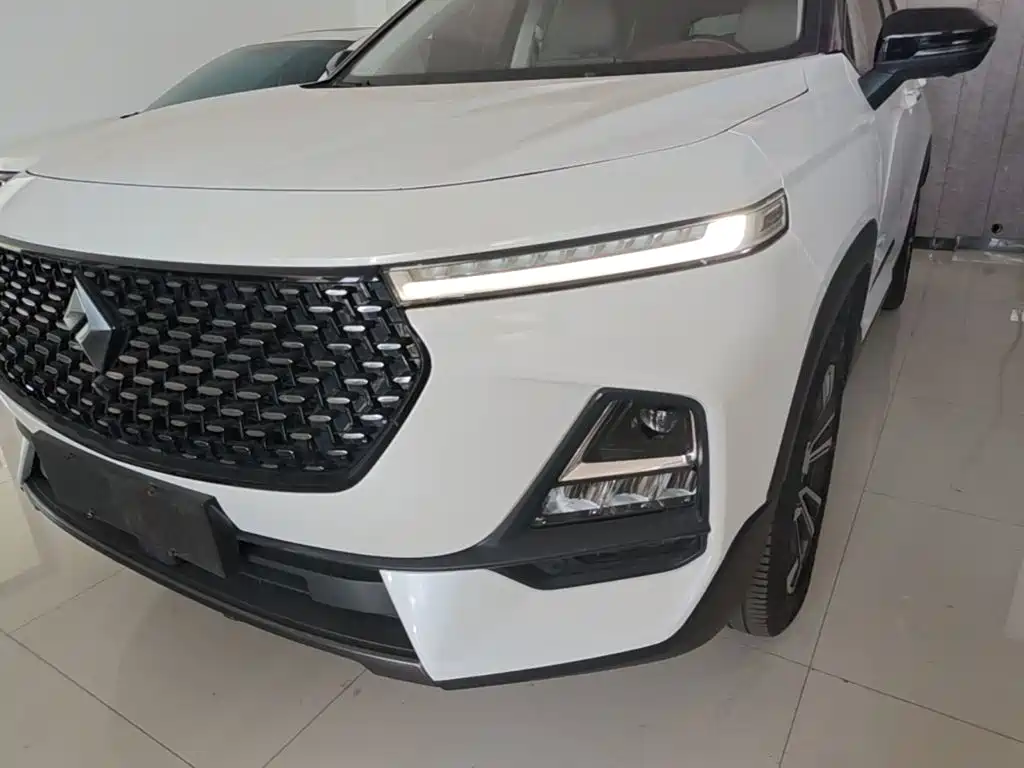 Baojun RS-5 — фото 24