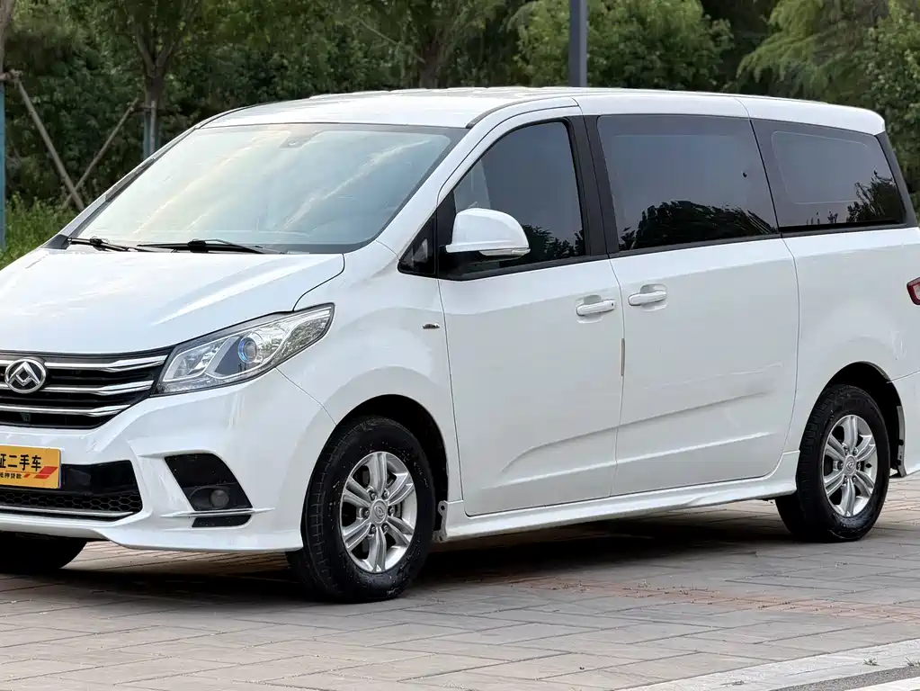 MAXUS G10