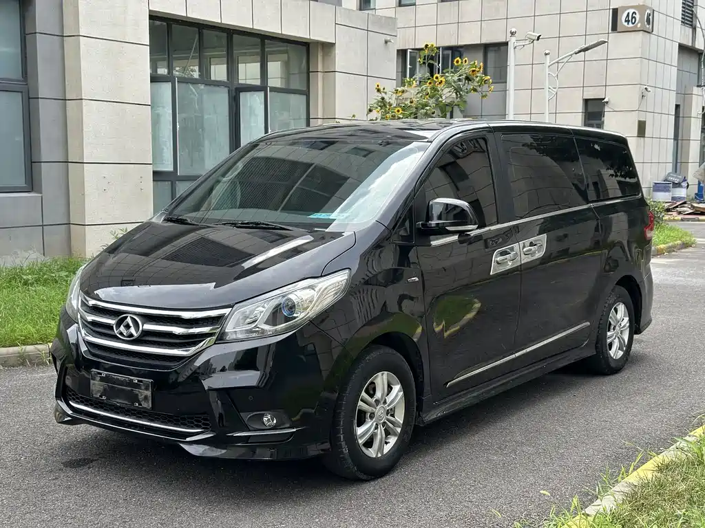 MAXUS G10