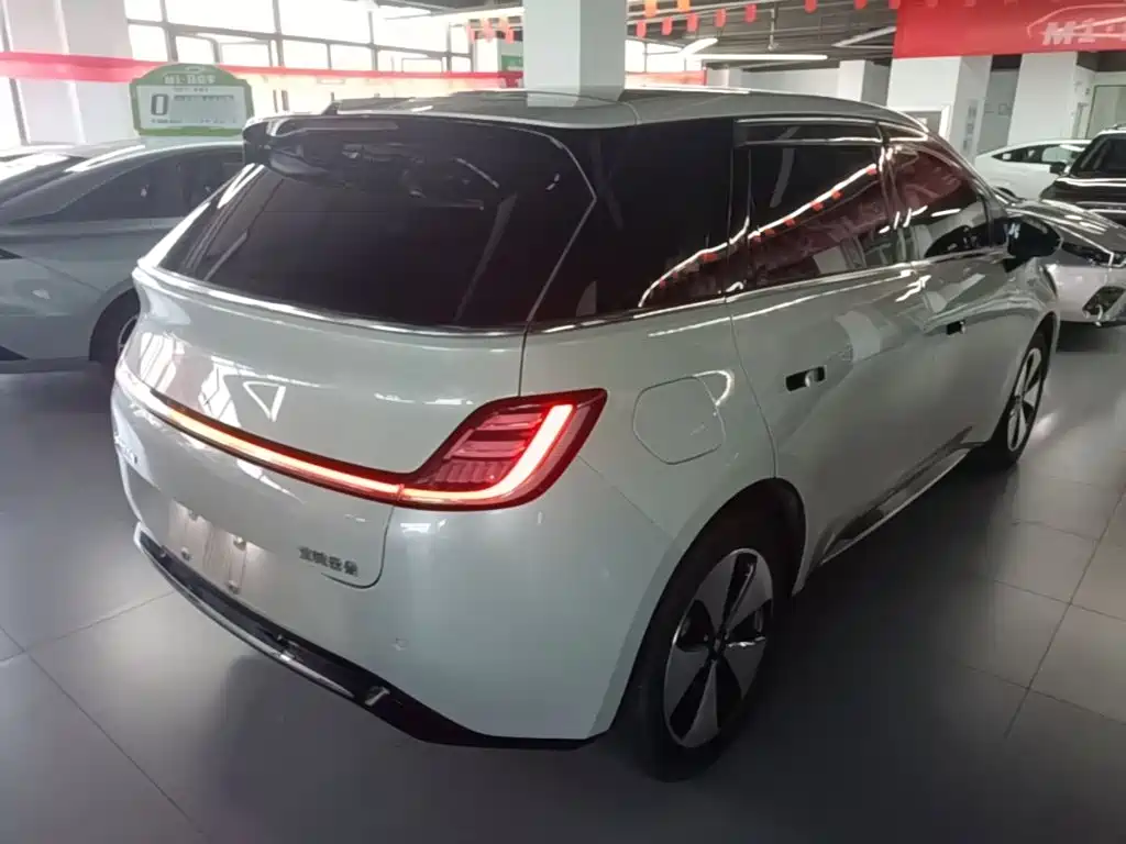 Baojun Yunduo — фото 7