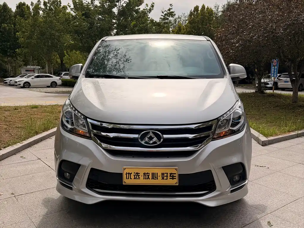 MAXUS G10