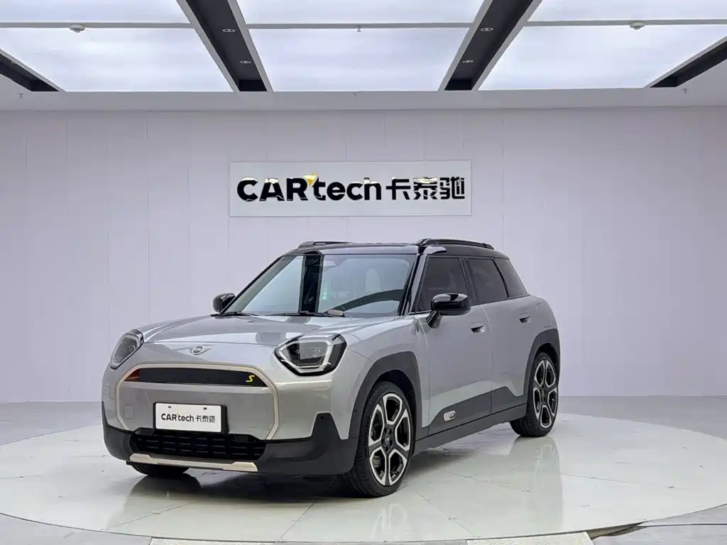 MINI MINI ACEMAN EV