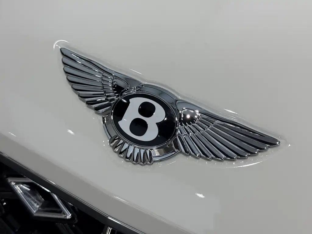 Bentley Continental PHEV — фото 14