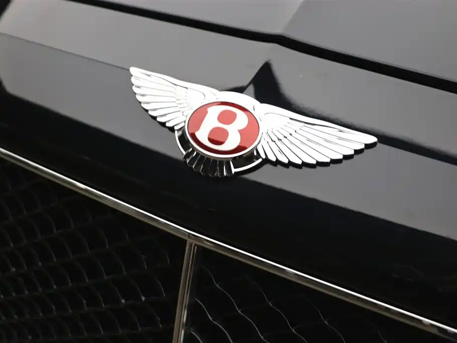 Bentley Flying Spur — фото 30