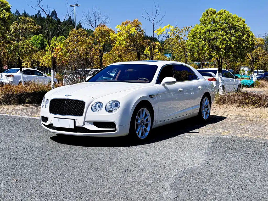 Bentley Flying Spur — фото 3