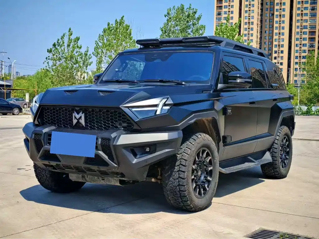 Mengshi Mengshi 917