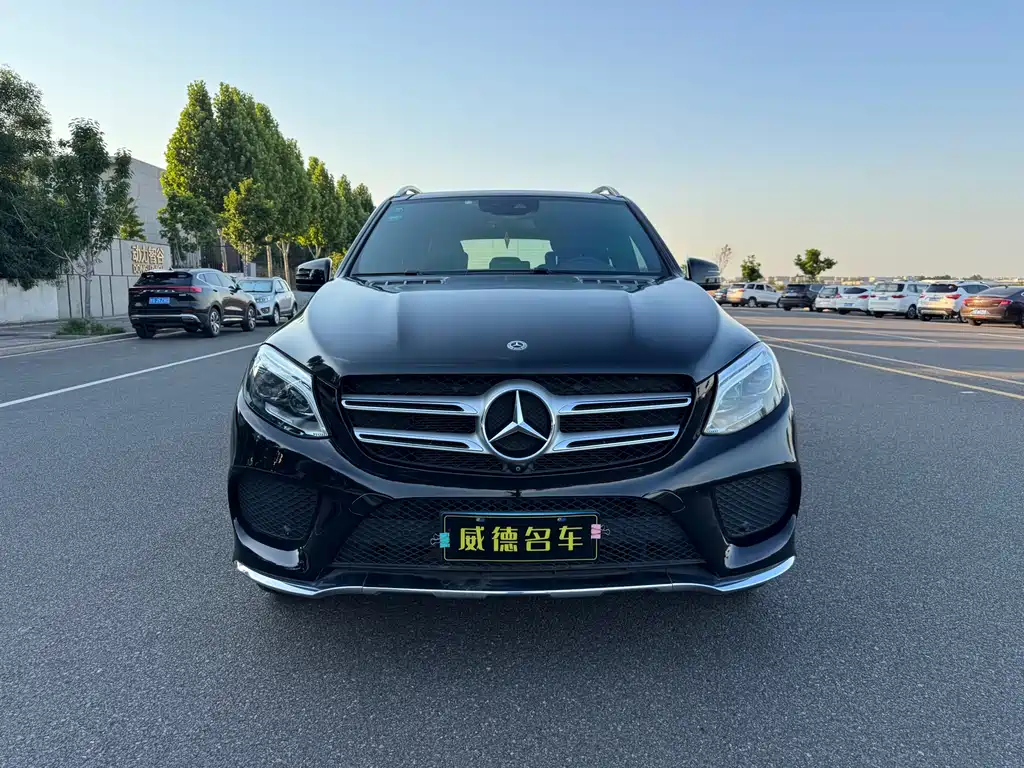 Mercedes-Benz GLE (Import) — фото 3