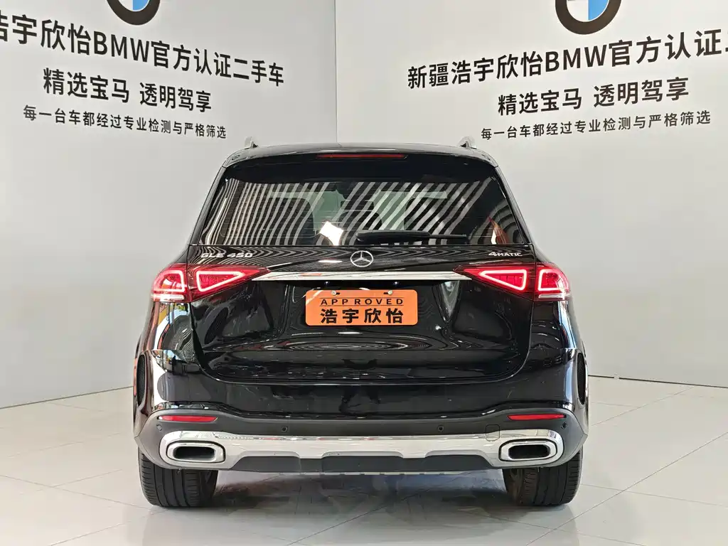 Mercedes-Benz GLE (Import) — фото 5