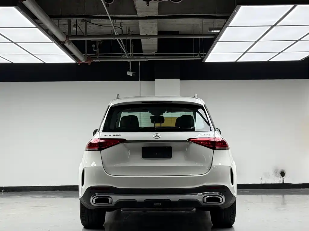 Mercedes-Benz GLE (Import) — фото 17